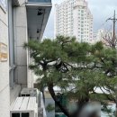연제구청 지하1층 구민홀 | 부산 다비다 웨딩홀, atm, 홀투어, 가격,견적공유