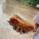 [상해 디즈니] 상하이 디즈니랜드 후기 : 맛집, 짐보관, 티켓, 디즈니에서 난징동루 택시 이용/ 비 예보...