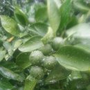 민균농장 이미지