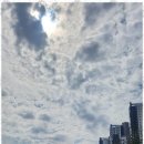 금터공인중개사 이미지