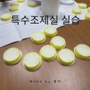 차성환경 | [병원실습] 특수조제실 실습 후기-항암