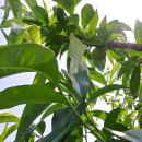 선아 농장 이미지