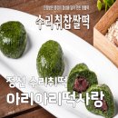정선취떡 | 극한직업 수리취떡 정선 아리아리떡사랑 택배 주문 및 명장 떡집 위치 총정리