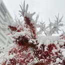 서초공유어린이집 성과보고 홍보영상제작 후기