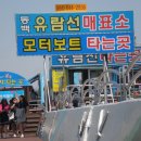 오동도로 이미지