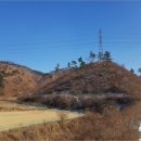 동락보건진료소 | ρ신니면 토지(임야)경매(2017타경6104) ☆충주시 토지(임야)경매♣충북 충주시 신니면 문락리