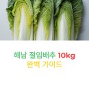 이마트24 신안점 | 해남 절임배추 10kg 완벽 가이드 | 가격 비교부터 선택법까지