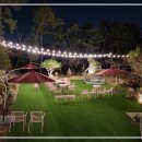 더블링독 이미지