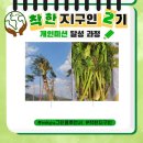 착한지구인 이미지
