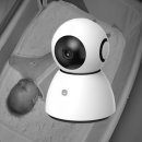 베이비펫 이미지