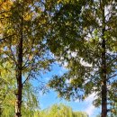 새자리농원 이미지