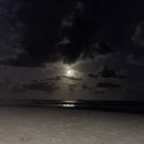 규성농장 | [호주 워홀 여행] [Day1~3 road trip] 로드트립 첫 시작/byron bay - korora lookout - dorrigo...