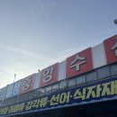 매천공영 주차장 앞 이미지