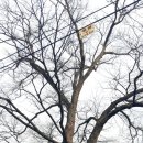 운담영당 이미지