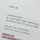 사랑노래샵 네이버블로그