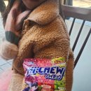 봉봉스테이션 신촌점 이미지