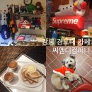 코모도 모텔 | 강릉 경포대 카페 애견동반 가능한 씨엠디컴퍼니 초당옥수수커피 추천