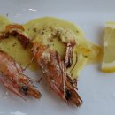 제주정지 이미지