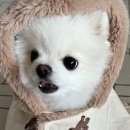 이기영수의과병원 이미지