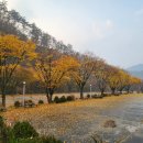알프스밸리캠핑나라 이미지