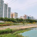 증산역2번출구 뒤 이미지