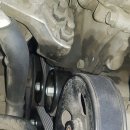 애니카랜드 화원점 이미지