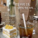 어네모코 | 전주여행 전주 카페 어네모코 생과일 케이크랑 커피 추천