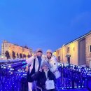 모세휠체어 이미지