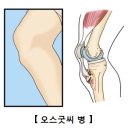 씨와 이미지