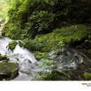 장전 숨 이미지