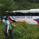 사자약품 이미지