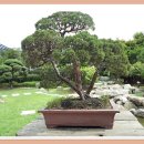 구로노인종합복지관 이미지