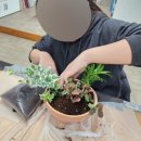 용주초등학교 이미지