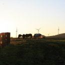 들판의추억목장 이미지