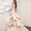 에이메드 이미지