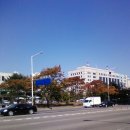 안양시청 앞 이미지