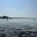 서귀포시축산업협동조합플라자 | [제주도] 제주도 4박5일 가족여행 일정 공유