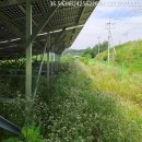 무성햇빛발전소 이미지