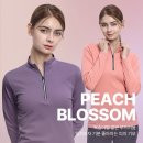 이지바이 이미지