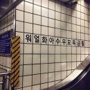 [부평/맛집추천] 최애 횟집♡ 부평종합어시장 내돈내산 후기!