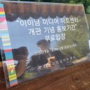 지곡리 공중화장실 | 전남 담양 관광) 대나무테마공원 죽녹원: 소개,주차장,입장료,봉황루,알포인트촬영지,대나무숲,놀이터...