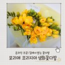 프리지아꽃집 | 온라인꽃집 포리애 프리지아 생화꽃다발 택배 후기