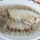 바닷가 횟집 이미지