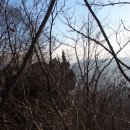 배산목장 이미지