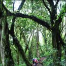 뽈레뽈레 이미지