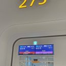 대창무인스토어 | [상하이 여행 1일차] ICN -> PVG 푸동공항 / 점도덕🥟 / 동방명주 / 난징동루 미니소랜드 / 와이탄 야경...