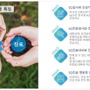 멘토컨설팅연구소