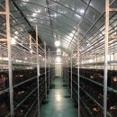 서동농장 이미지