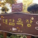 대암농장 이미지