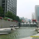 엄마닭 - 인제군 | 엄마닭
